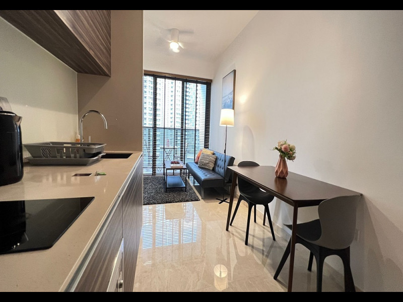 1 Bedroom Queenstown Living and Kitchen