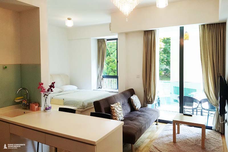 fully furnished serviced apartments in singapore 