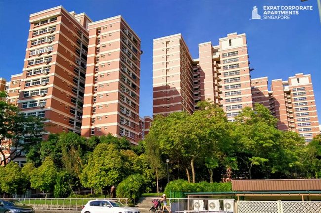 Serviced-Apartments-in-Singapore-What’s-Living-in-Queenstown-Like Serviced Apartments in Singapore What's Living in Queenstown Like