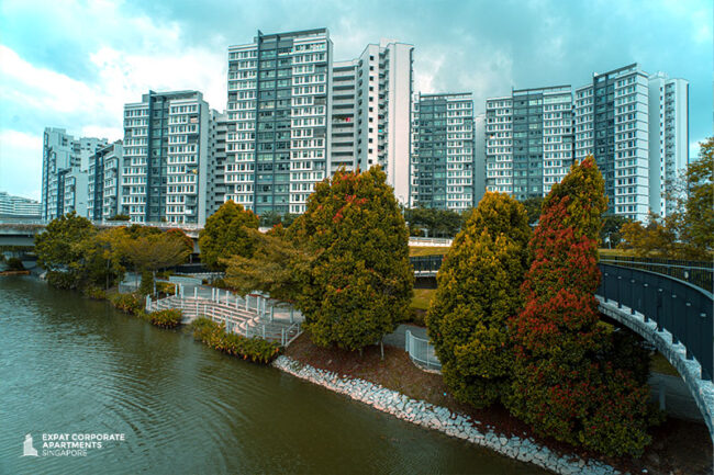 5-reasons-to-live-in-the-heartlands-of-singapore-as-an-expat 5 Reasons to Live in the Heartlands of Singapore as an Expat