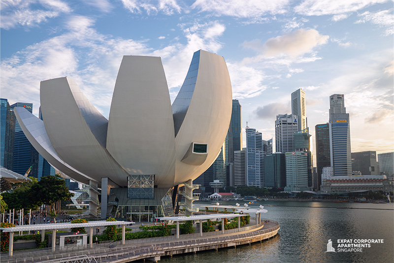Popular Entertainment and Leisure Activities in Singapore